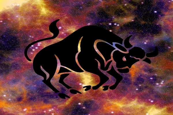 Vedic Astrology